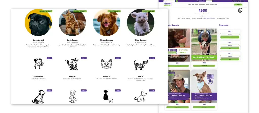 website sapa 2