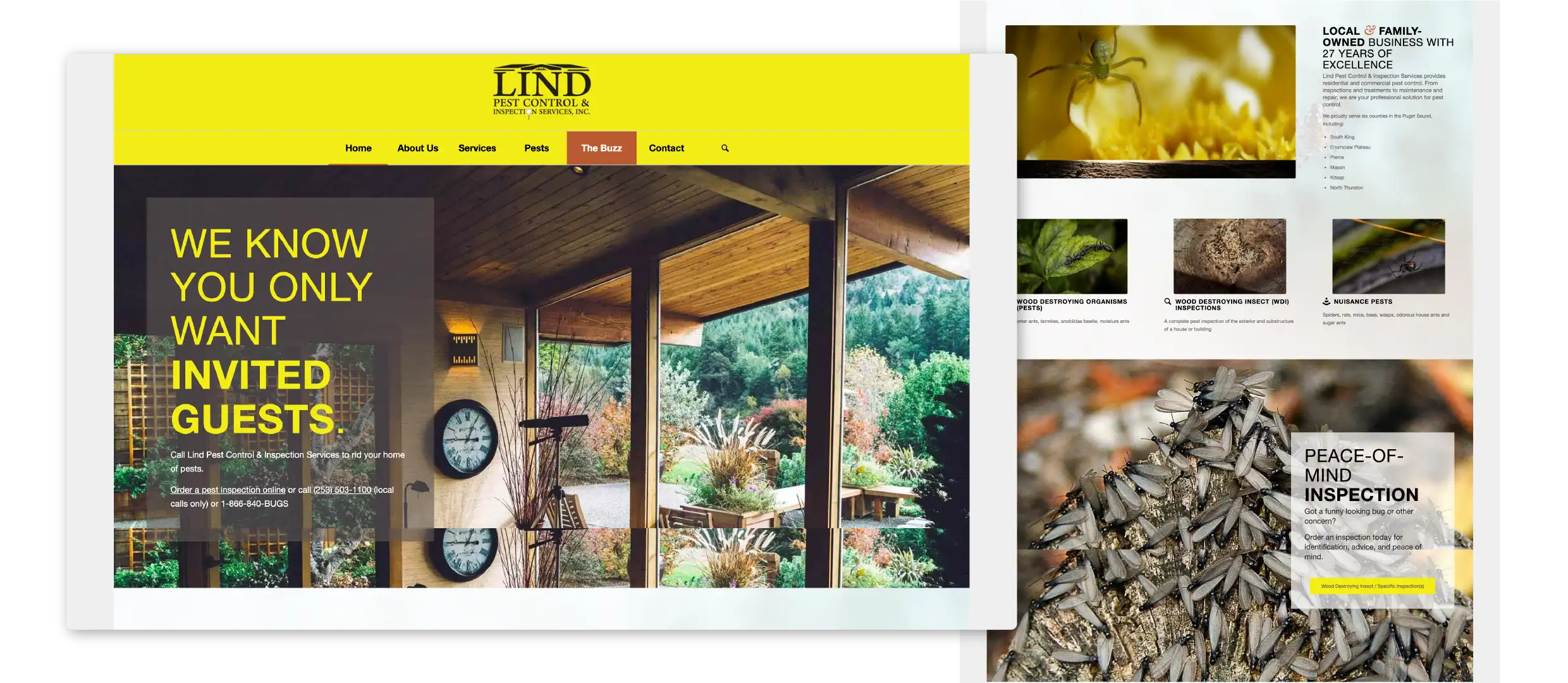 displays_Website-lind