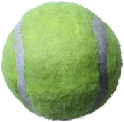 Tennis ball