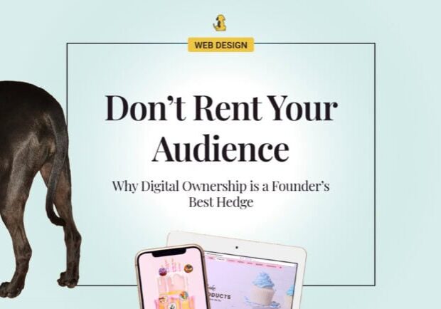 Don&rsquo;t Rent Your Audience: Why Digital Ownership is a Founder&rsquo;s Best Hedge