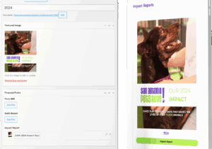 ipad sapets dynamic content 8