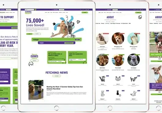 San Antonio Pets Alive, SAPA!