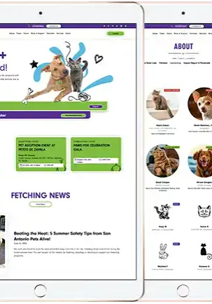 San Antonio Pets Alive, SAPA!